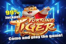 jj2d Myanmar Online Gaming Platform About Us မြန်မာ ကစားသူများ